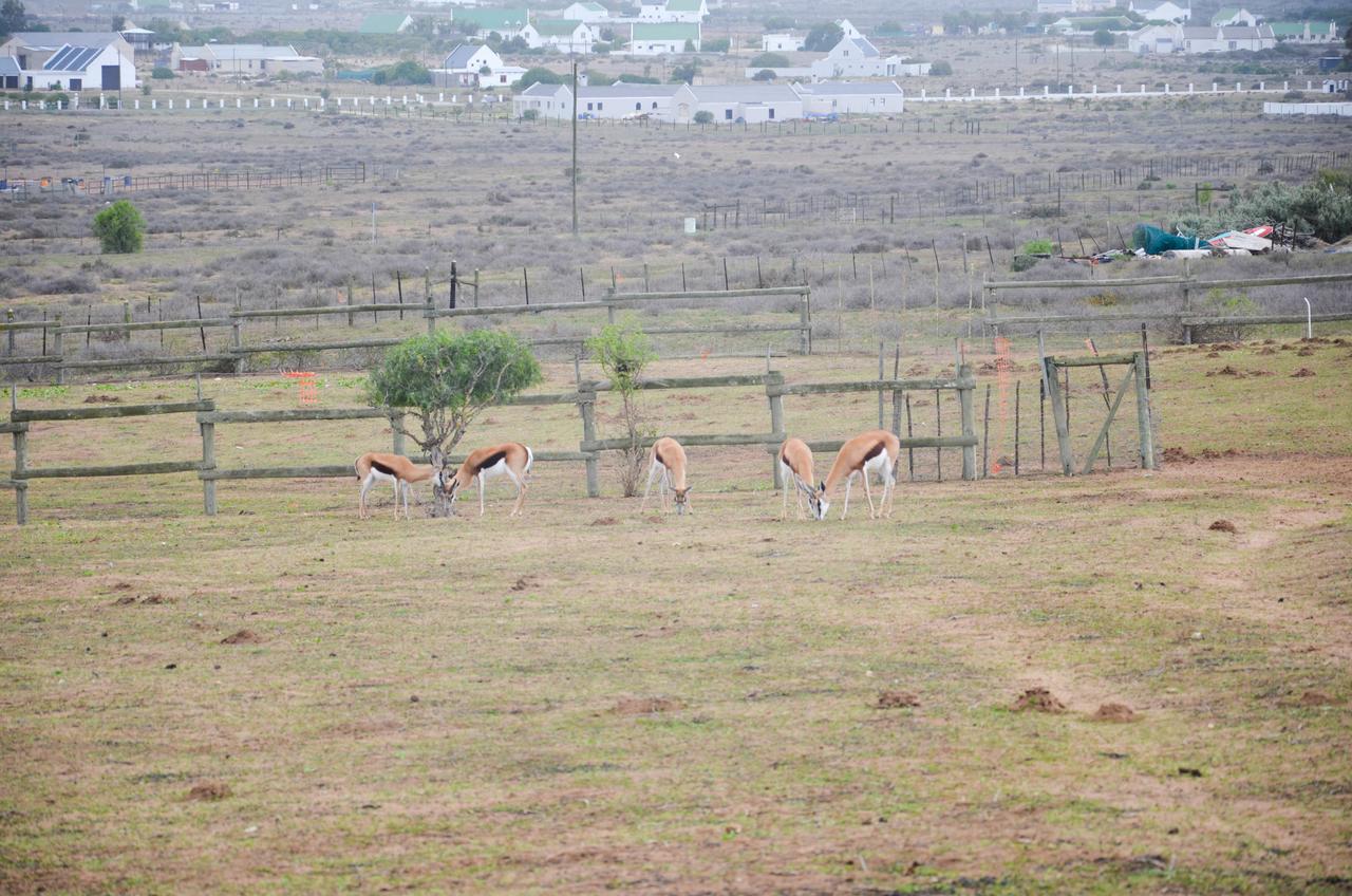 The Stables Accommodation Langebaan Kültér fotó